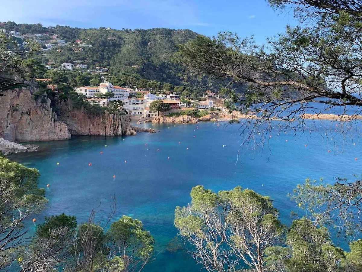 Apartamento Cosy Flat With Terrace, Swimming Pool And Parking In Begur